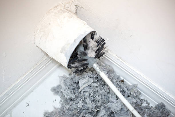 Best Air Duct Cleaning Company Near Me  in Lmer Heights, PA